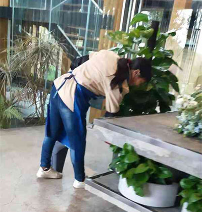 巴中沙發(fā)清洗